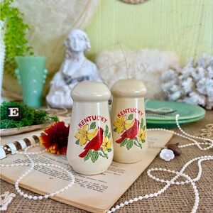 Vintage Ceramic KY S&P Shakers 🌼 Unique Home Decor / Kitchen / Gift / Nature